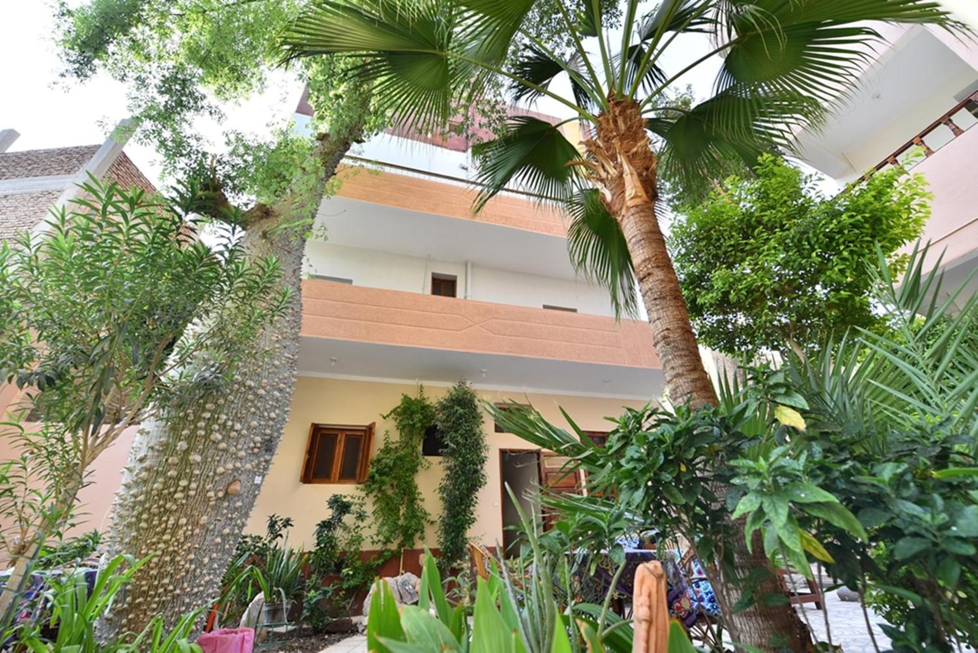 Amon Hotel Luxor Luaran gambar