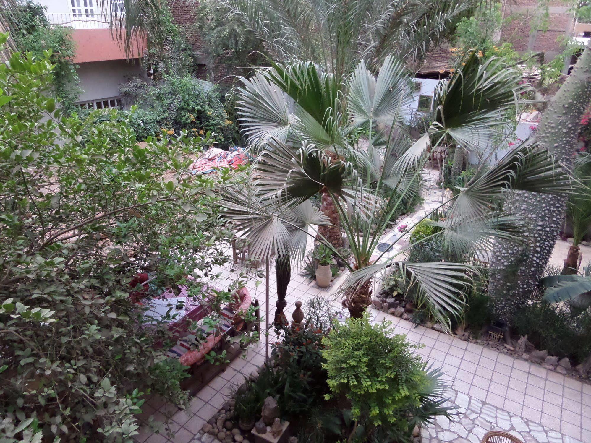 Amon Hotel Luxor Luaran gambar