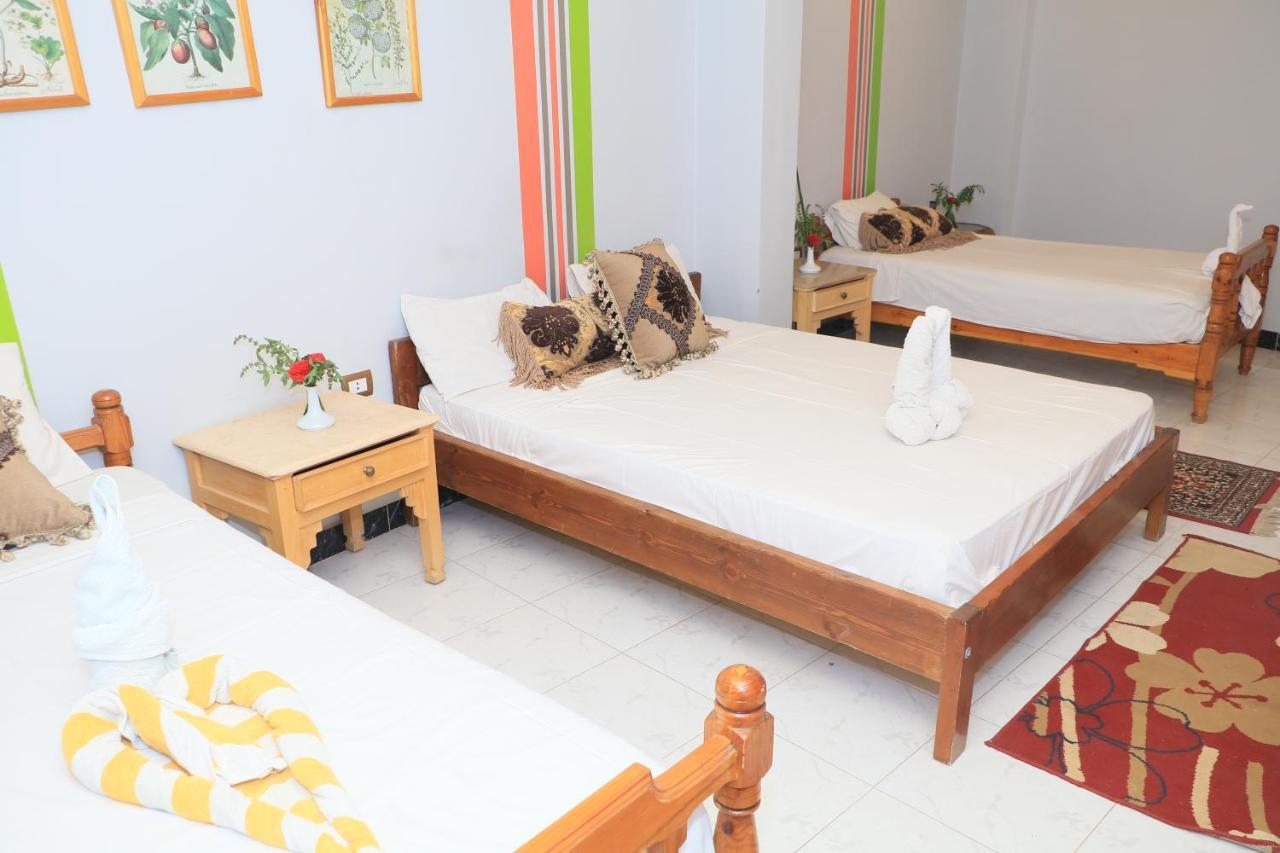 Amon Hotel Luxor Luaran gambar
