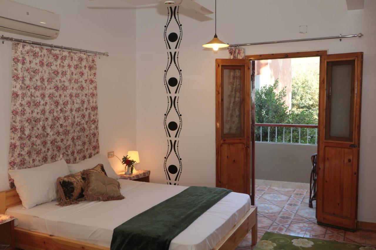 Amon Hotel Luxor Luaran gambar